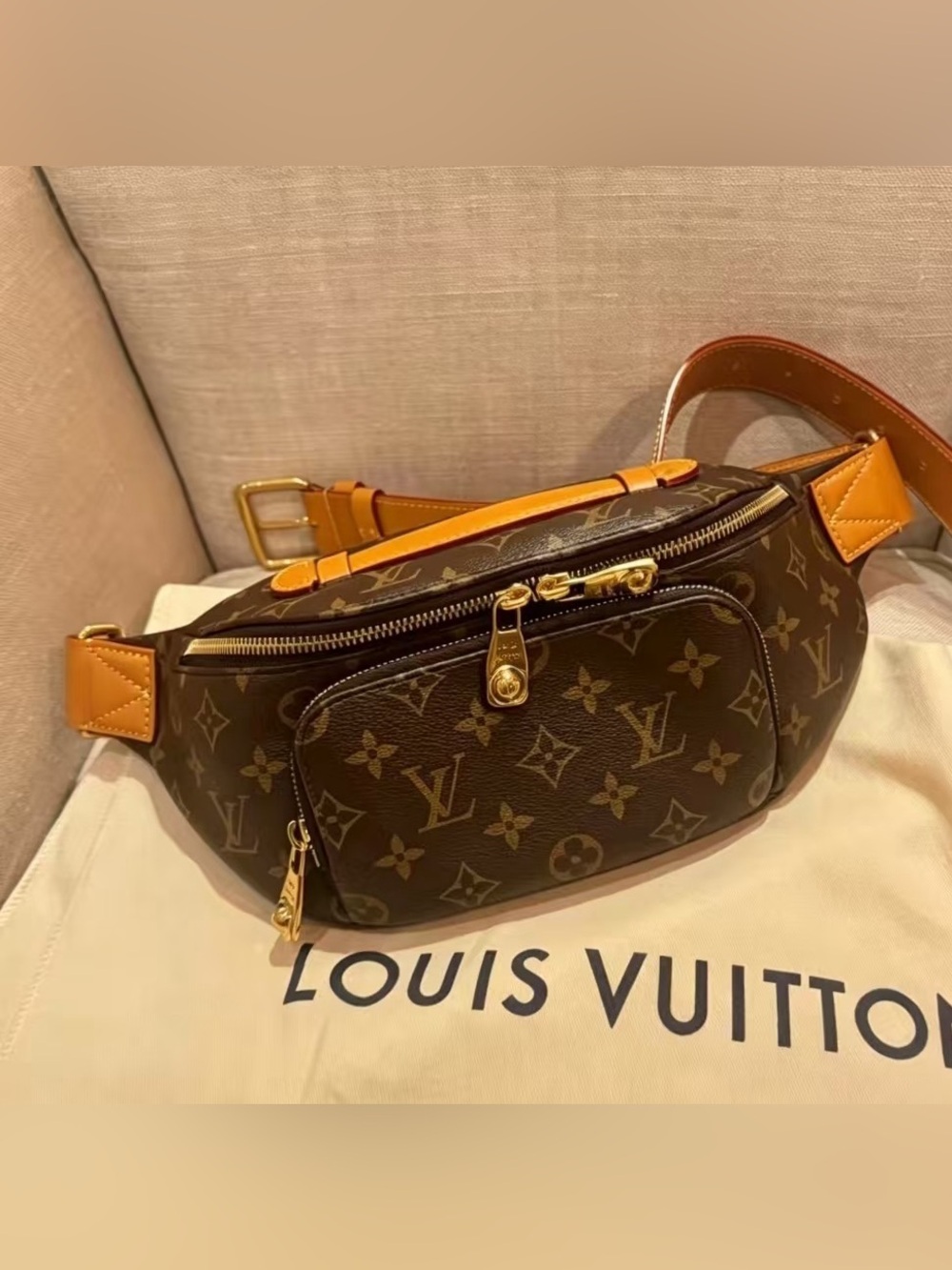 Louis Vuittonn Monogram Belt Bags Crossbody Bumbag in Brown and Tan